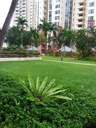 The Makena (D15), Condominium #457770201